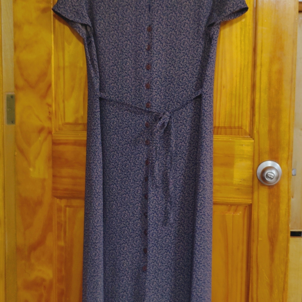 Elegant Women's Dress